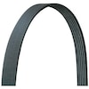 Dayco V-Ribbed Belt Belts/Hose, 5050337Dr 5050337DR